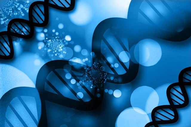 優(yōu)化分子量分布：聚酯催化劑 CAT 4100 確保聚酯產(chǎn)品具有更窄的分布和更好的物理性能